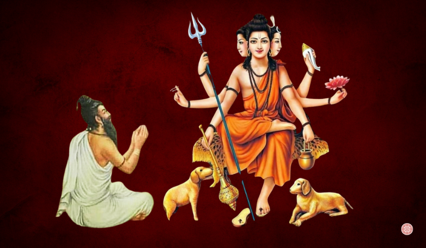 Sukta Magazine Image 20
